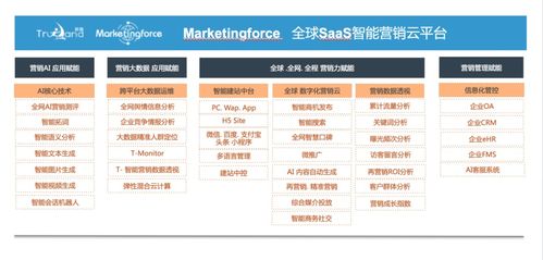 珍島集團躋身工信部中小企業數字化賦能服務推薦目錄，引領企業管理服務新篇章